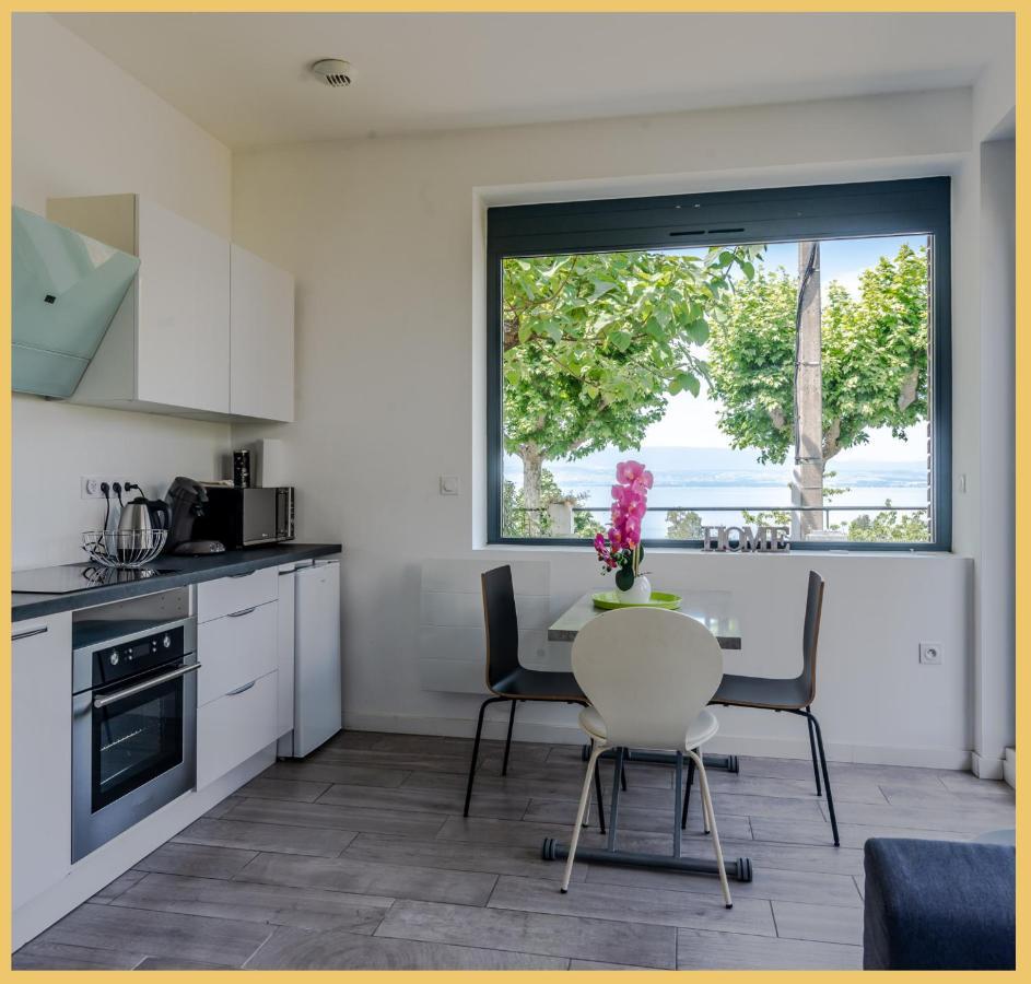 Appartement Cozy 1 Panoramique Lac Leman Thonon-Les-Bains Exterior photo