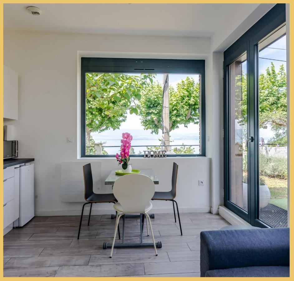 Appartement Cozy 1 Panoramique Lac Leman Thonon-Les-Bains Exterior photo
